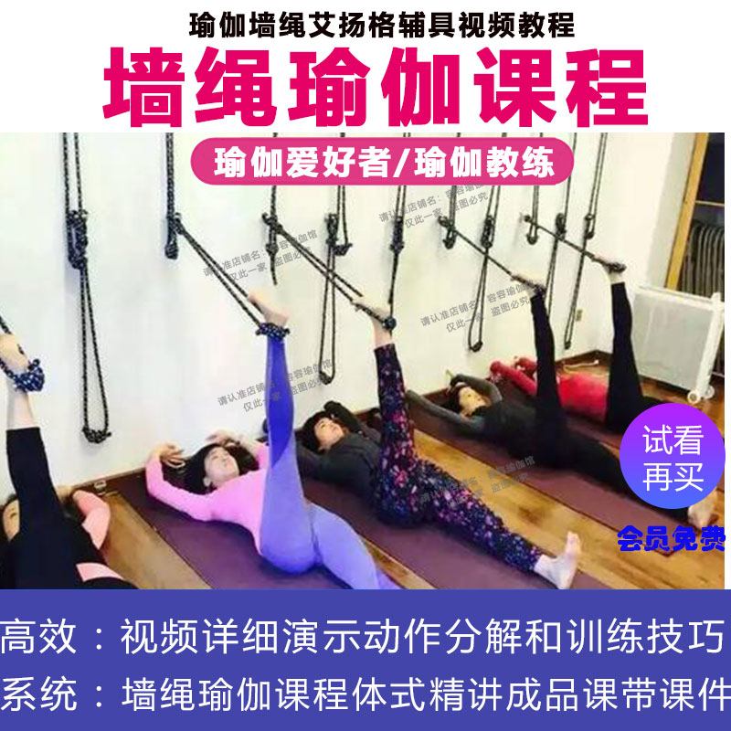 墙绳瑜伽课程体式精讲成品课10课+课件艾扬格辅具培训教程