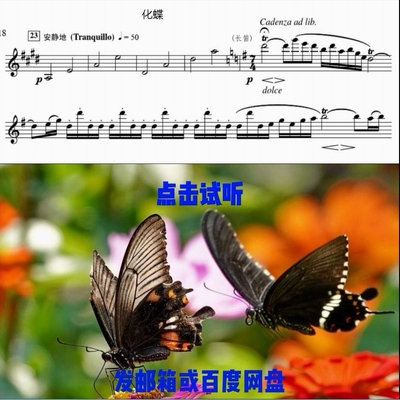 梁山伯与祝英台梁祝化蝶小提琴曲谱交响乐伴奏及示范音频简谱4.58