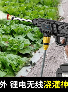 洗车机高压抽水泵农用灌溉浇地喷雾器水陆两用喷头新款家用打药枪