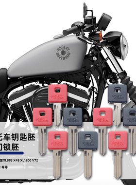 适用哈雷XL883N/L/R/XL1200/X48/V72/硬汉/肌肉 改装摩托车钥匙胚