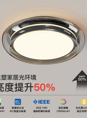 意式轻奢电镀烟灰卧室吸顶灯