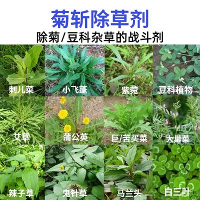 除刺儿菜蒲公英鬼针草农药除草剂