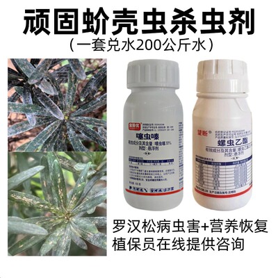 树用蚧壳虫杀虫剂组合
