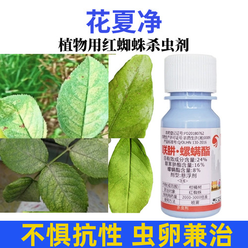 红蜘蛛杀虫剂花夏净杀卵剂