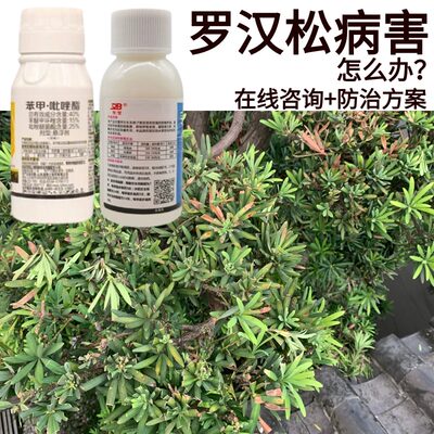 炭疽病杀菌剂苯甲吡唑酯