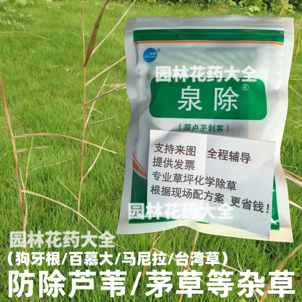卢矛刺客泉除草坪芦苇茅草除草剂图片
