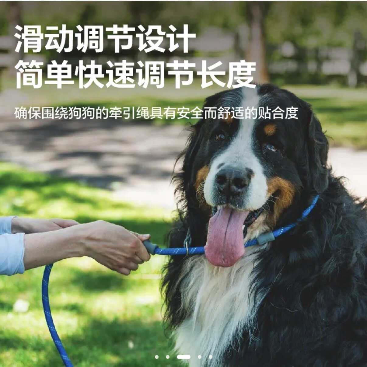 RW拉夫威尔 佳斯特 宠物P绳 项圈牵引 狗狗中大型犬金毛萨摩P字链