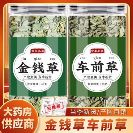 金钱草车前草茶中药材海金沙菊花枸杞胎菊中草药泡水的功效与作用