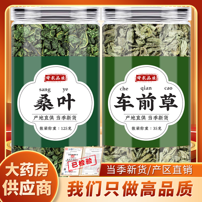 桑叶车前草中药材组合正品桑叶粒