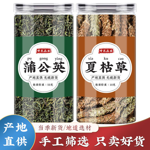 夏枯草蒲公英正品中药材