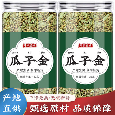 瓜子金中药材辰砂草金锁匙瓜子草