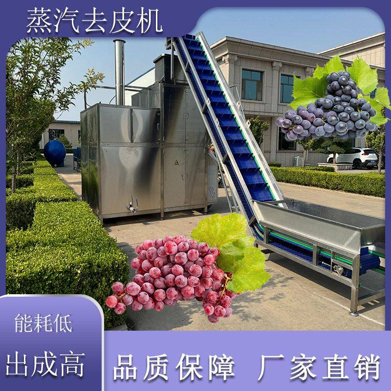 葡萄头加工蒸汽去皮机 西红柿番茄 土豆马铃薯红薯削皮机