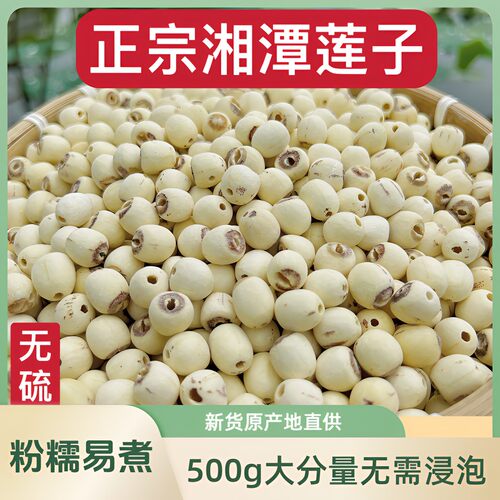 湖南正宗去芯莲子500g颗粒均匀粉糯清香饱满营养优选新鲜食用方便