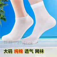 Vớ nam mùa hè mỏng phần cotton lớn lưới thoáng khí vớ cộng với phân bón XL 45/46/47/48 - Vớ hàng tuần tất cổ cao