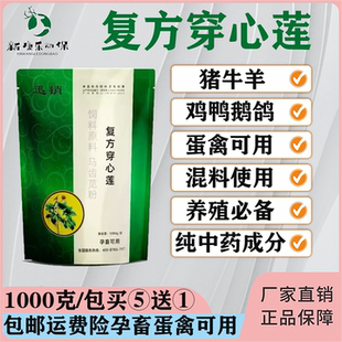 兽用四味穿心莲散粉大肠猪牛羊禽鸡鸭鹅黄白绿调理肠道孕畜可用