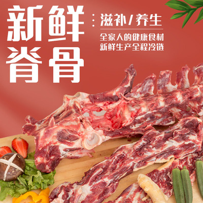 吉林瑞宏鹿场宰杀新鲜鹿脊骨后背骨鹿腿骨 泡酒煲汤整条出售