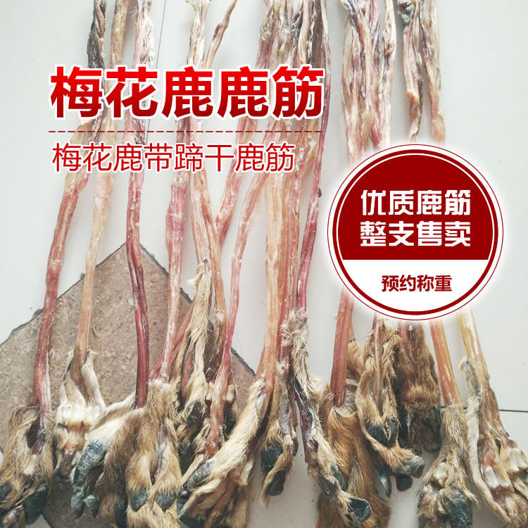吉林梅花鹿瑞宏鹿场直供 优质梅花鹿鹿筋 鲜鹿筋干鹿筋带蹄子保真