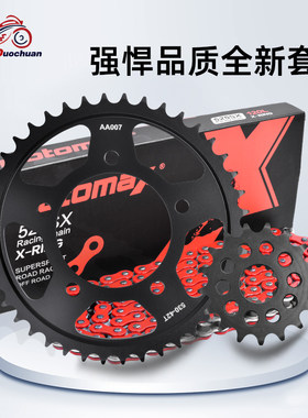 ZX14R/ZZR/ZX1400大小齿链盘链轮
