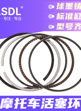 适用本田斯巴达小蚂蚁25VTZ VTR250马格纳龙犬250活塞环配件