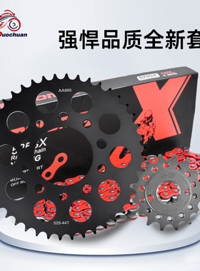 适用本田铁马VLX400/600沙都VT600流浪者VRX400大小齿链轮链盘