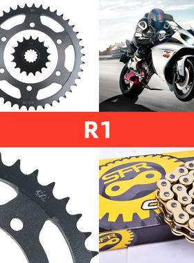 适配雅马哈R1 FZ1N/S MT01 XJR1300摩托车大小齿链轮全套链条链盘