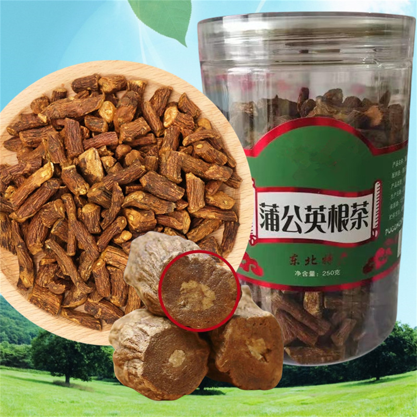 长白山特产蒲公英根养生茶无添加