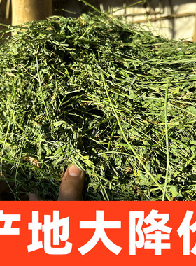 苜蓿干草羊草动物园草料原产地