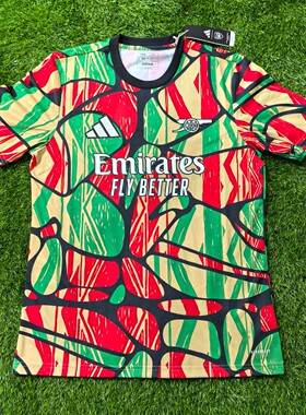 Adidas 阿森纳 2425赛季赛前花色足球训练服短袖球衣 is9996