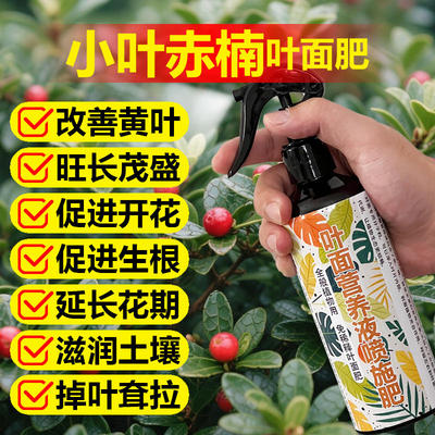 小叶赤楠专用肥料养殖花盆栽盆景营养液发新芽发芽长新枝叶面肥料