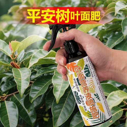 平安树专用肥料树苗种植盆栽养殖土壤绿植营养液叶面肥水溶化肥料