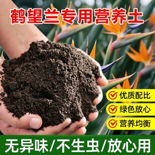 鹤望兰专用土料盆栽植物营养土变绿长高展叶子长个天堂鸟绿植家用