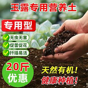 玉露专用浓缩营养土家用老桩盆栽多肉植物通用有机土液体养花家用