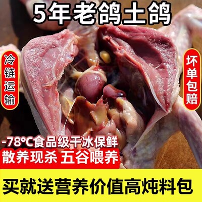 3只装鸽子新鲜散养老鸽正牌土鸽子5年老鸽子肉煲汤乳鸽肉活体现杀