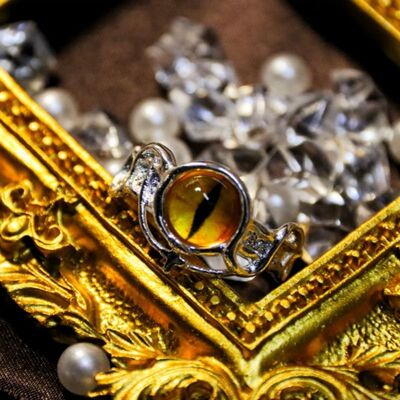 新款现货好兆头 Good Omens：ca戒指蛇瞳开口尾戒食指戒