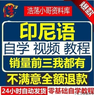 直达零基础自学入门二册学习视频教程资料网课课程印尼语