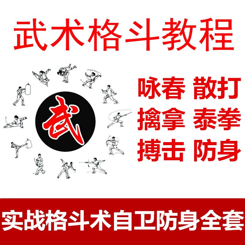 实战武术咏春拳零基础散打擒拿训练泰拳跆拳道防身术教学视频教程