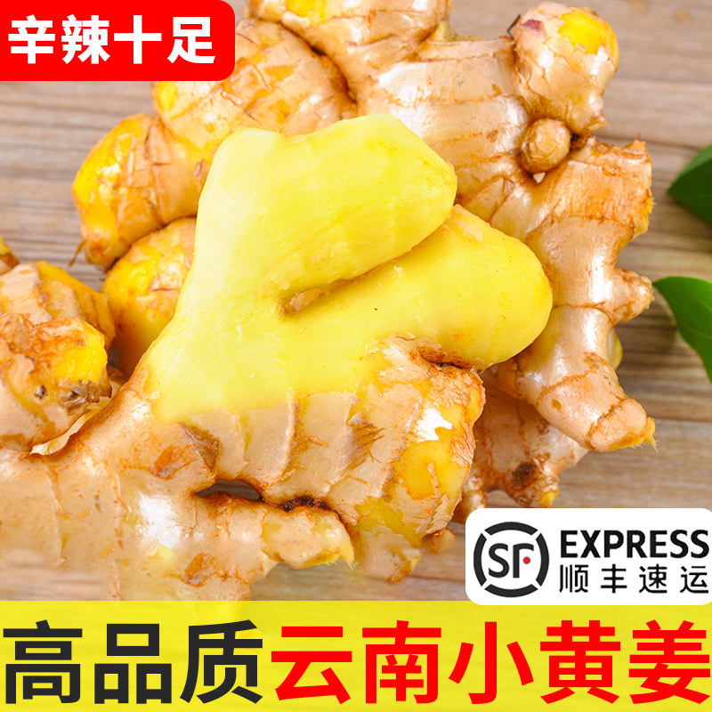 云南罗平小黄姜5斤生姜老姜高山沙姜月子姜新鲜辛辣蔬菜顺丰包邮