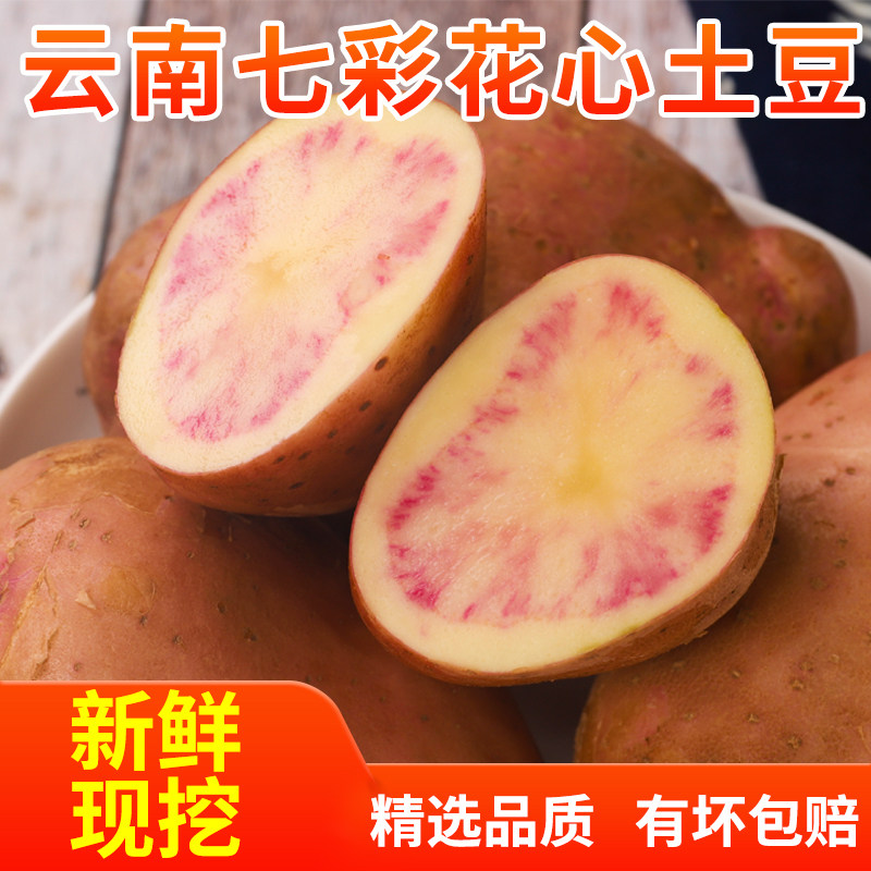 云南七彩花心土豆沙面土豆农家蔬菜开花洋芋红心红皮土豆包邮现发