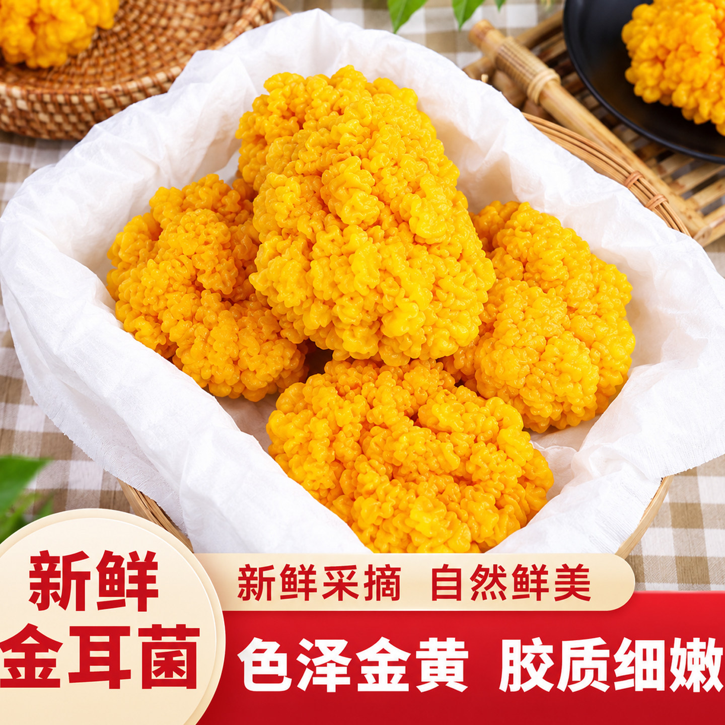 云南新鲜金耳菌金黄胶质细嫩