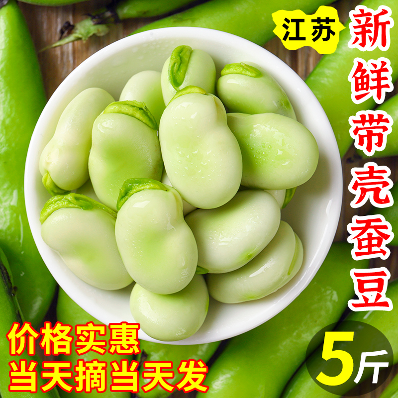 江苏新鲜蚕豆5斤农家蔬菜蔬菜