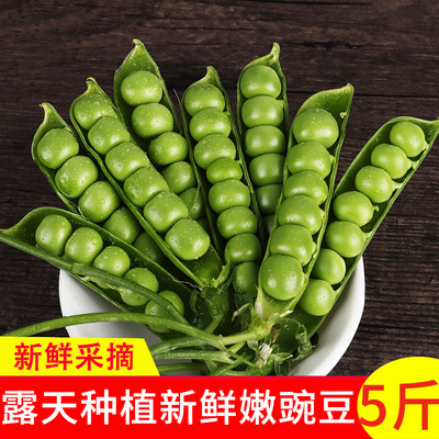 Свежий горох Yunnan, свежие овощи, маленькие зеленые бобы, сладкие бобы, стручки в сезон, выберите их в полной коробке с раковинами, бесплатной доставкой