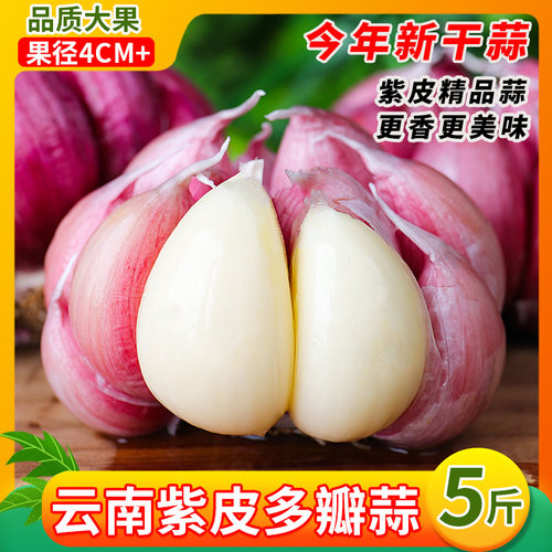 中鲜生云南新鲜紫皮大蒜蒜香浓郁