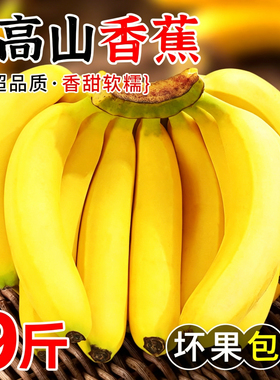 高山青皮甜香蕉新鲜水果自然熟无添加当季现摘现发绿蕉绿色香甜糯