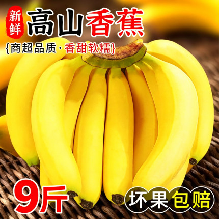 高山青皮甜香蕉新鲜水果自然熟无添加当季现摘现发绿蕉绿色香甜糯