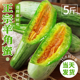 山东正宗羊角蜜瓜5斤大果甜瓜新鲜水果当季脆甜香瓜时令整箱包邮