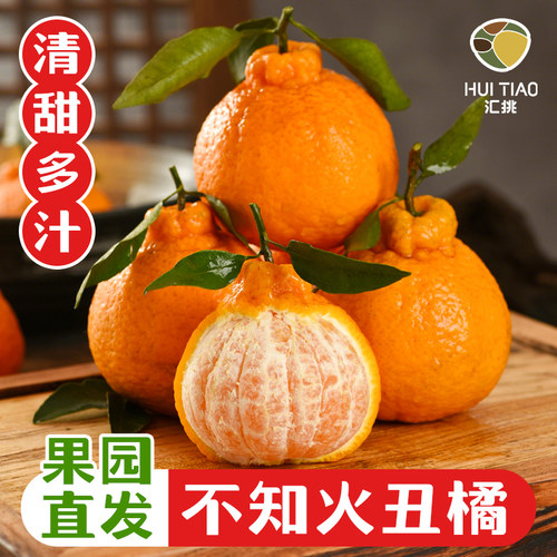 正宗四川不知火丑橘柑橘新鲜水果时令现摘当季整箱9斤耙耙丑橘子