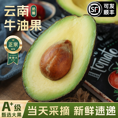 云南牛油果大果新鲜水果应季当季整箱包邮熟透即食一级鳄梨15个