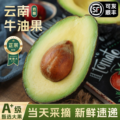 云南牛油果大果新鲜水果应季当季整箱包邮熟透即食一级鳄梨15个