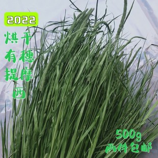 2025新烘干北提摩西草磨牙干草有穗提草兔子草龙猫干草荷兰猪草料