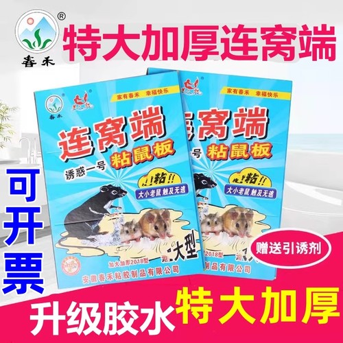 春禾连窝端粘鼠板加大加厚号老鼠贴粘鼠胶板灭鼠神器强力家用粘大